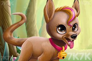 《神奇的宠物制造》游戏截图3 《神奇的宠物制造》游戏截图3