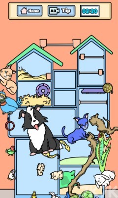 《衣柜收纳家》游戏截图3 《衣柜收纳家》游戏截图3