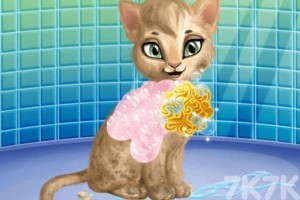 《猫猫美容店》游戏截图1 《猫猫美容店》游戏截图1
