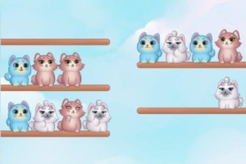 小猫找朋友