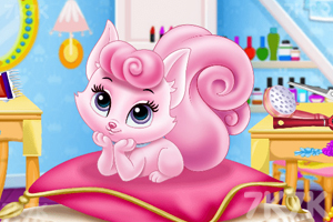 《爱猫咪的女孩》游戏截图1 《爱猫咪的女孩》游戏截图1