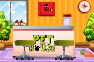 寻找动物急救包