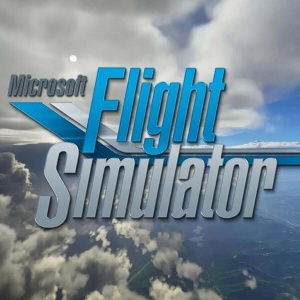 《微软模拟飞行2020》游戏截图6