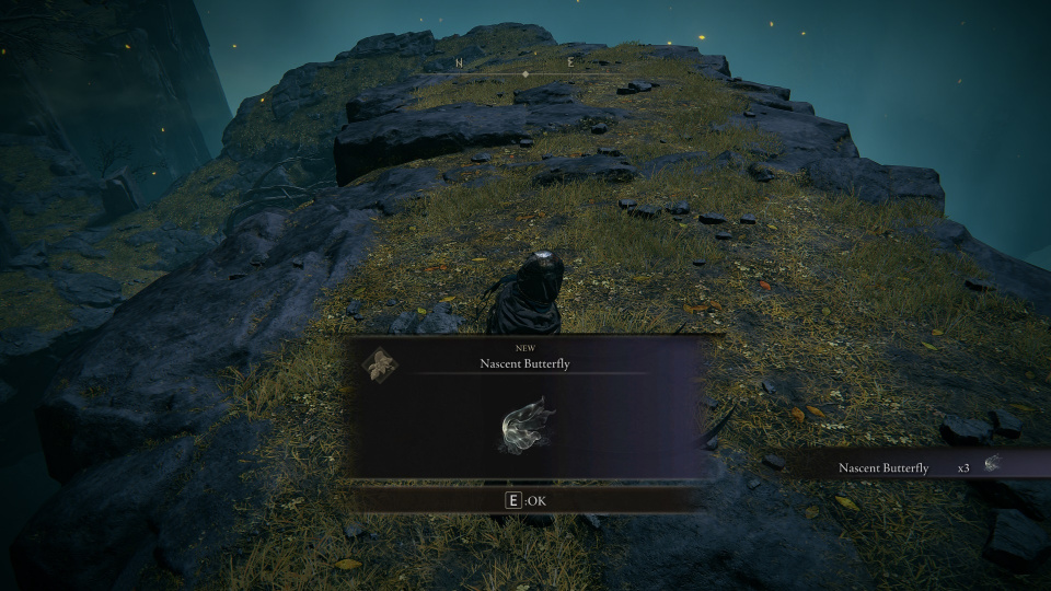 《艾尔登法环（重生MOD最新版）》游戏截图4