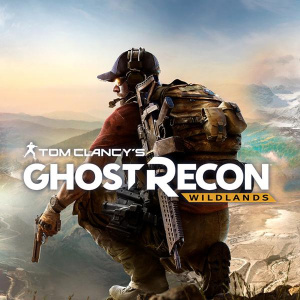 《幽灵行动:荒野》游戏截图6