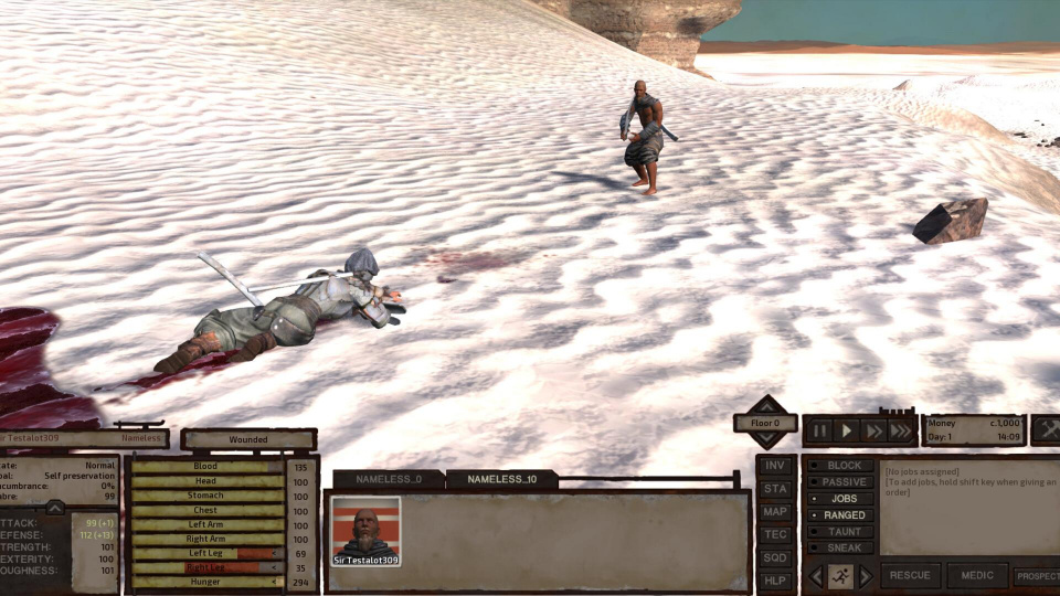 《剑士》游戏截图4