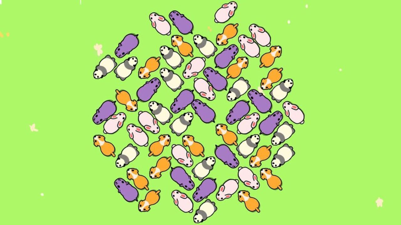 《动物营救计划》游戏截图6