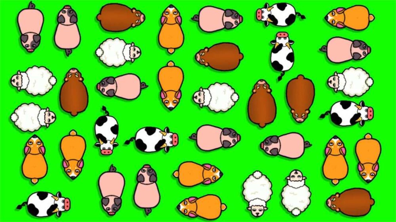 《超级挪不停》游戏截图2