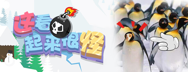 糖饼抠呀抠