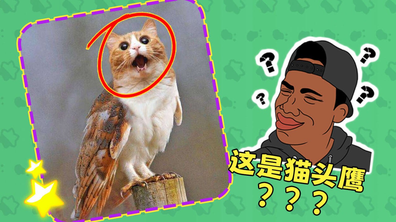 《糖饼抠呀抠》游戏截图3