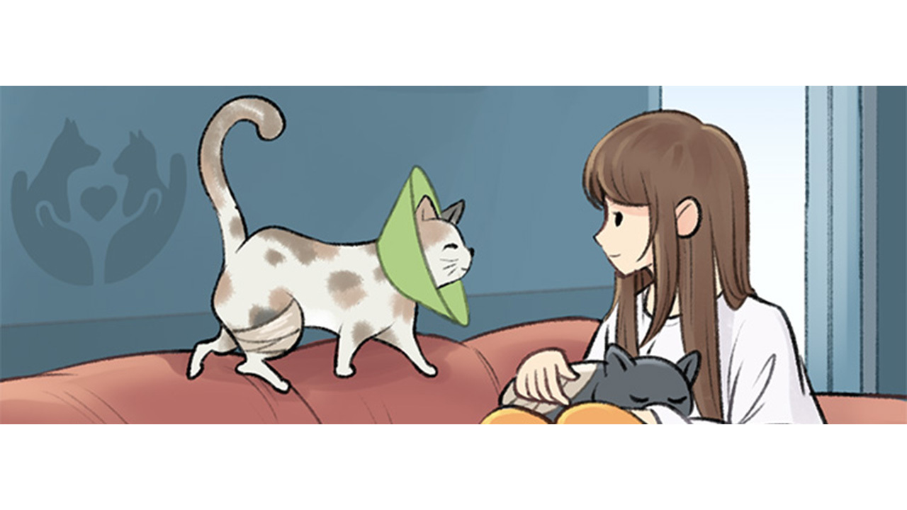 《猫猫狗狗一起玩》游戏截图3