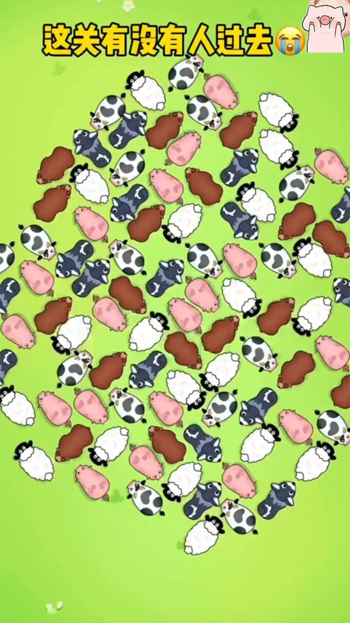 《挪小猪》游戏截图3