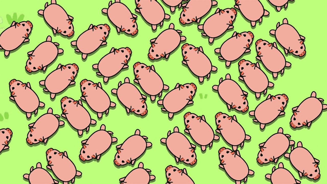 《挪大猪》游戏截图3