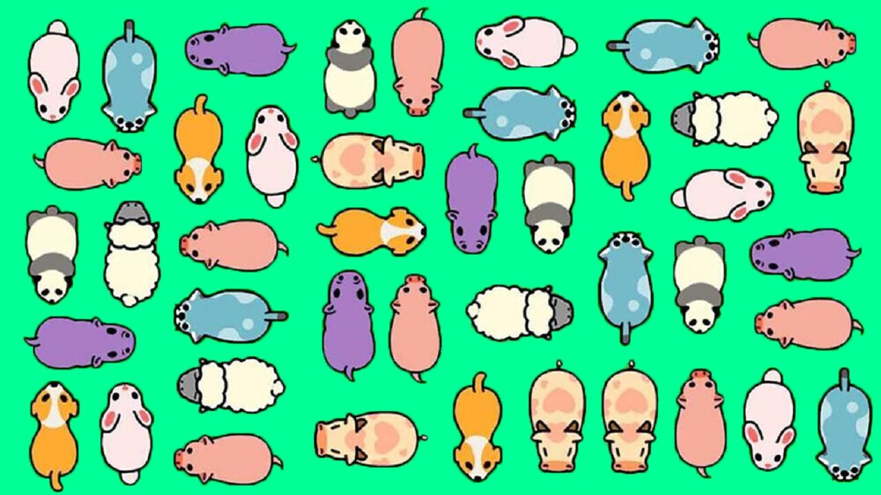 《挪大猪》游戏截图2