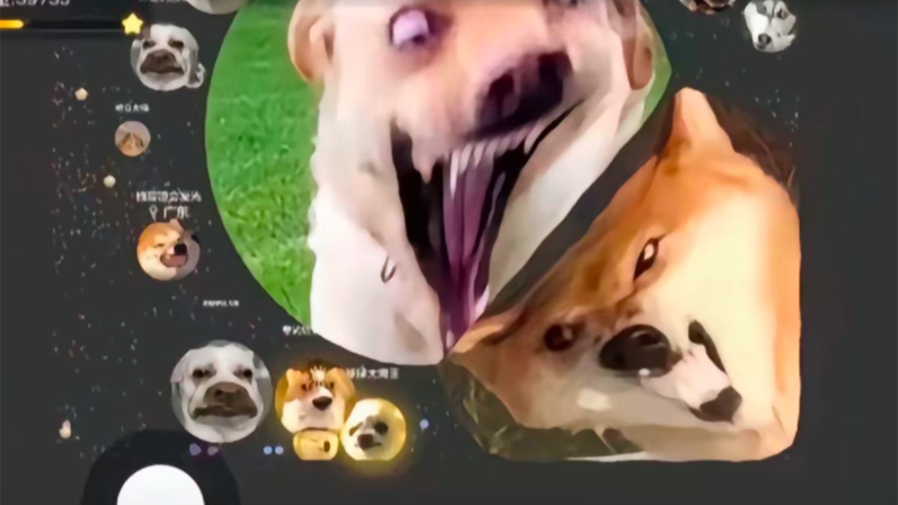 《球球大作战》游戏截图1