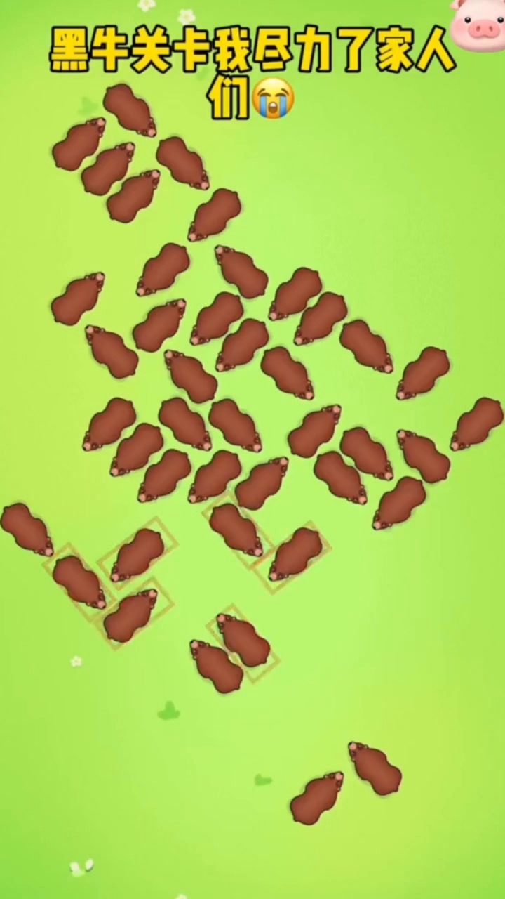 《拯救小狗计划》游戏截图3