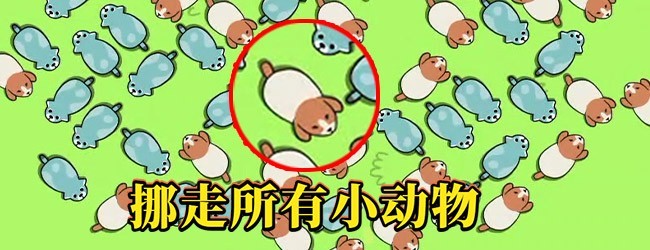 救救这只狗