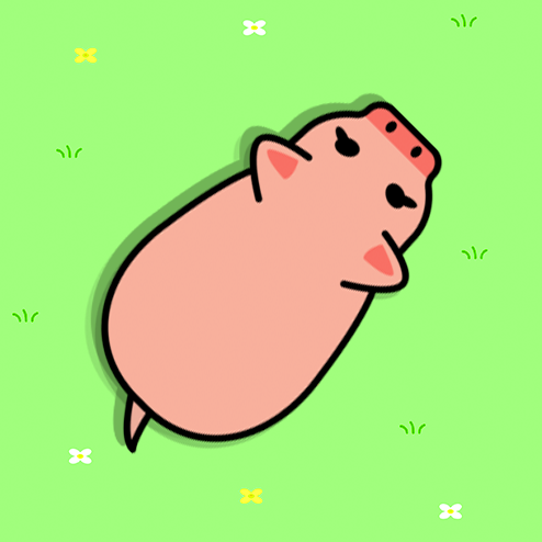 营救猪猪
