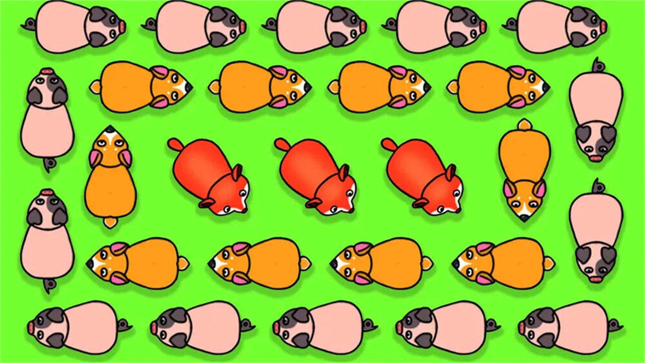 《挪猪猪》游戏截图2