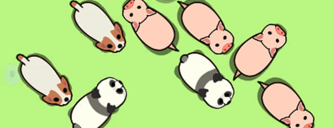 这关怎么解