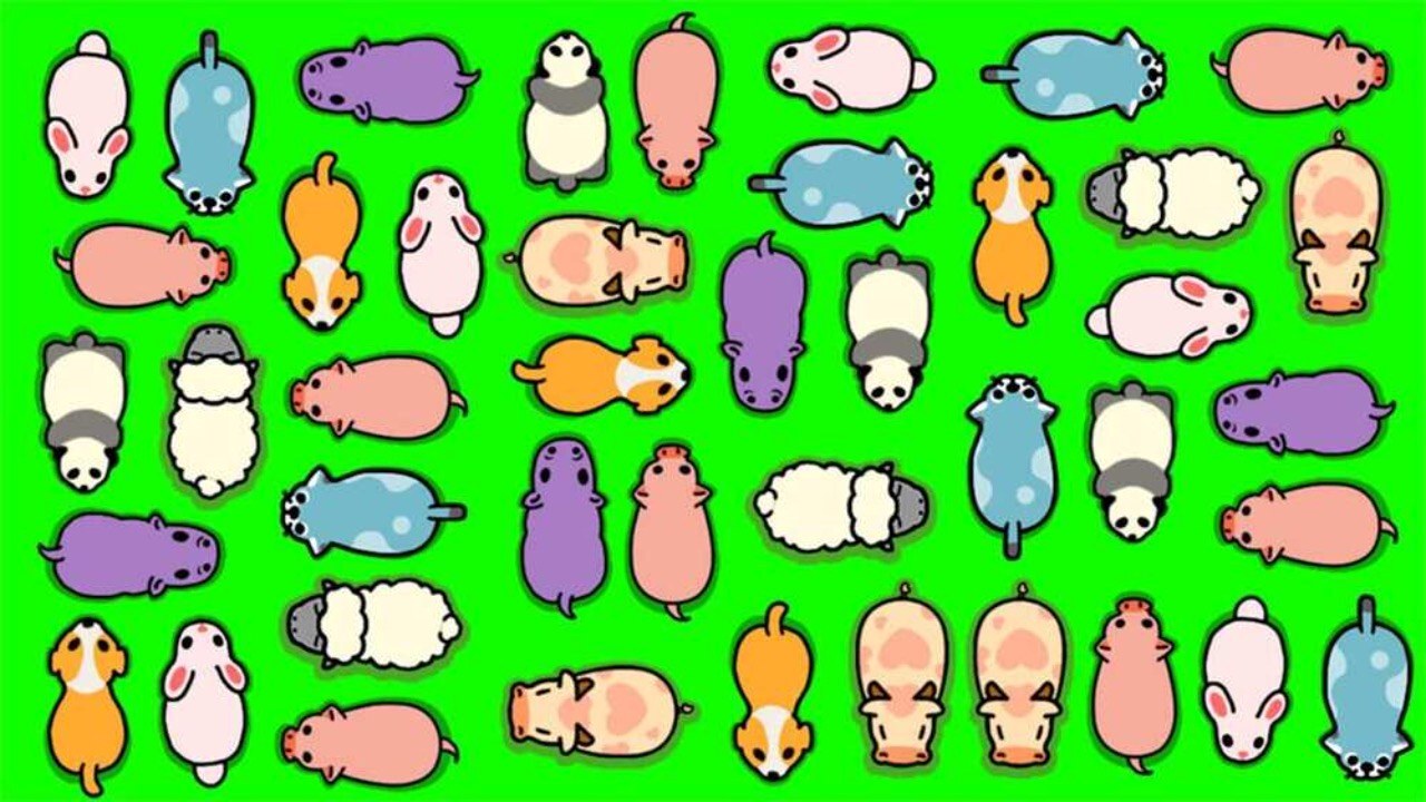 《全能小玩家》游戏截图6