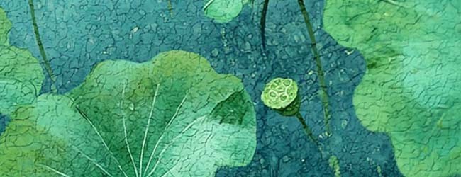 平淡生活小帮手2