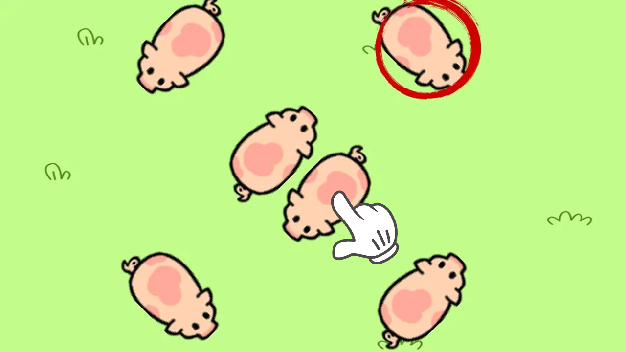 救救小猪吧