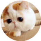 萌萌哒休闲益智小游戏