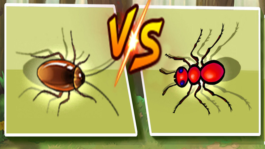 蚂蚁大战斗
