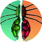 昆虫世界大乱斗