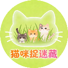 猫咪捉迷藏