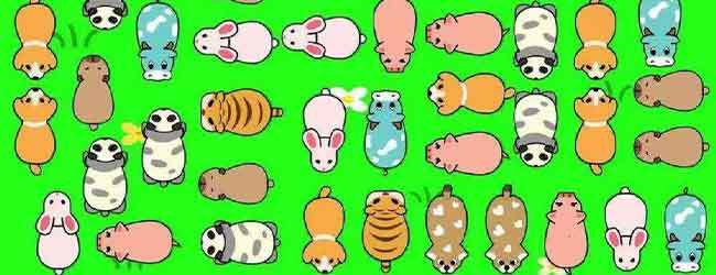 动物消消连连看