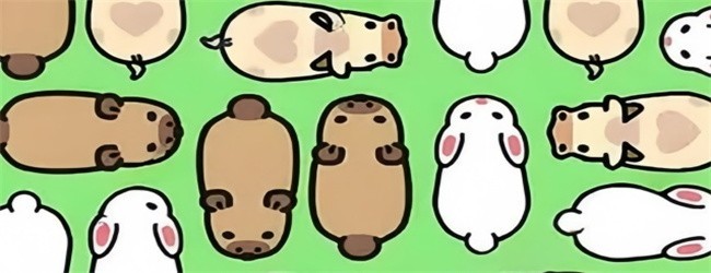 营救小卡皮