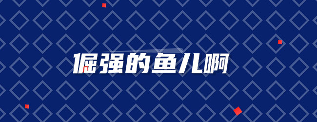 倔强的鱼儿啊