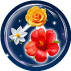 鲜花收纳