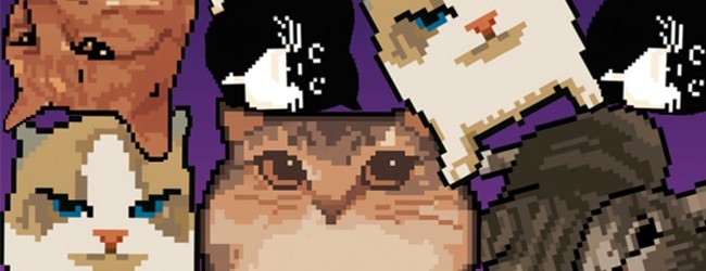 合成猫meme
