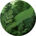 你肯定能过这一关