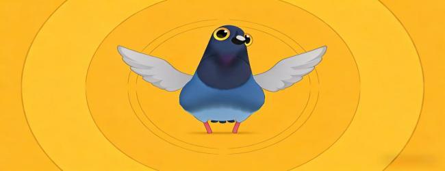 疯狂的鸽子一只