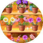 鲜花消除闯关