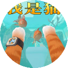 我是一只猫大冒险