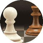 国际象棋双人