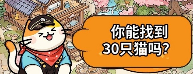 找猫猫找不停