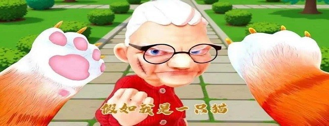 猫猫物语游戏
