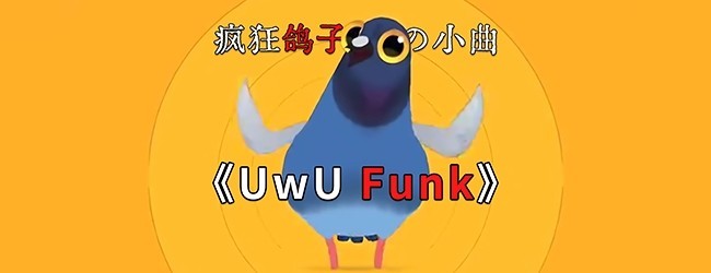 疯狂的鸽子节奏版