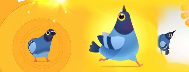 疯狂的玩到爽飞鸽子