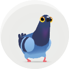 疯狂的鸽子一只