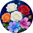 花朵收纳师