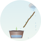 拯救植物