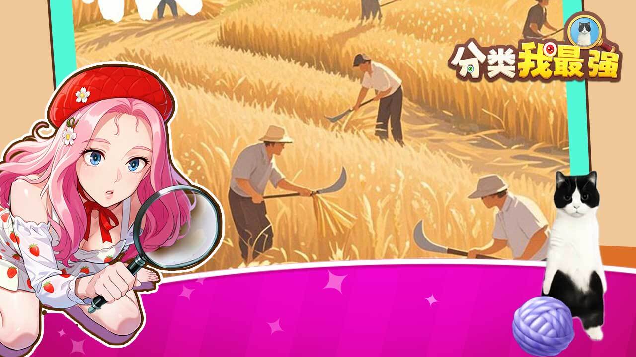 分类我最强