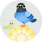 疯狂的鸽子原版